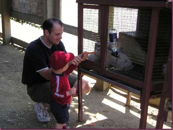 Feeding Bunnies